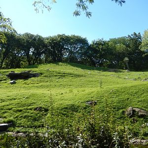8/12/2022 - Gelada Reserve