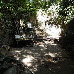 8/12/2022 - Fossil Dig Area