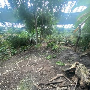 Spirit of the Jaguar - Jaguar indoors exhibit 221022