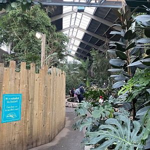 Tropical Realm 221022