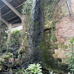 Tropical Realm 221022