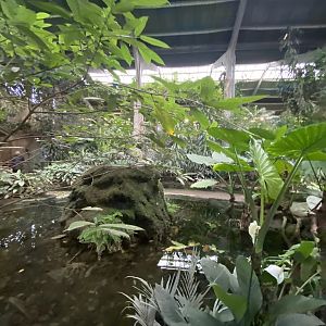 Tropical Realm 221022