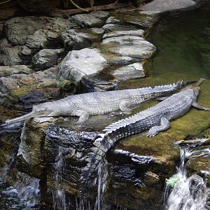 8/12/2022 - Real or Fake?