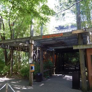 8/12/2022 - JungleWorld Entrance