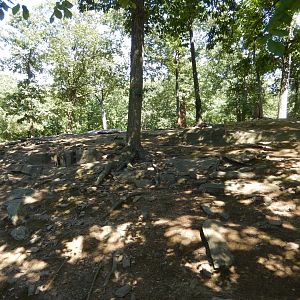 8/12/2022 - Markhor & Himalayan Tahr Habitat