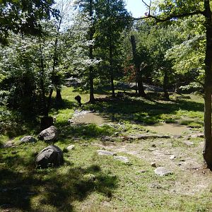 8/12/2022 - Indian Rhino Habitat (Right Half)