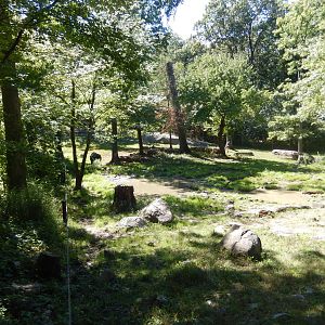 8/12/2022 - Indian Rhino Habitat (Left Half)