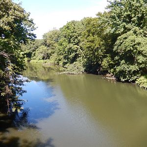 8/12/2022 - Wild Asia Monorail - Bronx River View