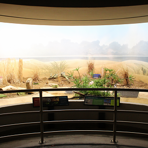 Bird House - Shoreline Exhibit