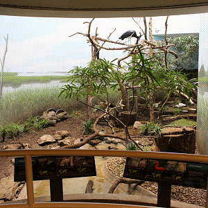 Bird House - Wetlands Exhibit
