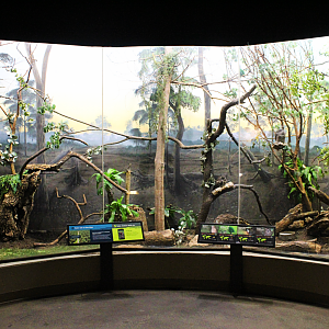 Bird House - Recovering Forest Exhibit