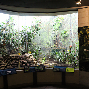 Bird House - Managed Forest Exhibit