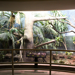 Bird House - Tropical Highland Exhibit