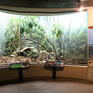 Bird House - Island Exhibit