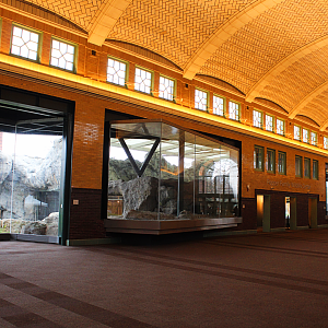 Pepper Family Wildlife Center