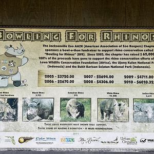 Rhinoceros Information Sign