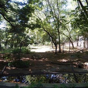 8/12/2022 - Spotted Hyena Habitat