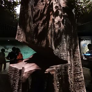 8/12/2022 - Conservation Pavilion