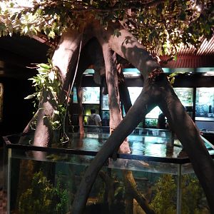 8/12/2022 - Living Treasures