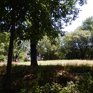 8/12/2022 - Giraffe & Ostrich Habitat