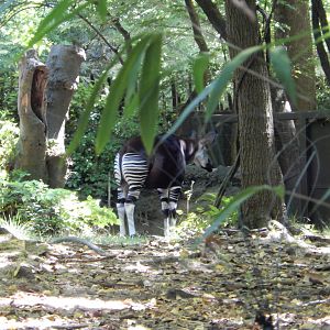 8/12/2022 - Brief Glimpses