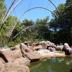 8/12/2022 - Seabird Aviary - General View