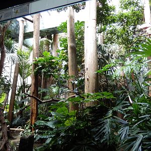 8/12/2022 - Bird Exhibit