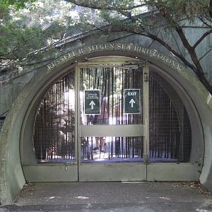 8/12/2022 - Seabird Aviary Entry Gate