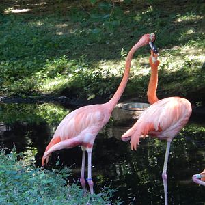 8/12/2022 - Squabbling