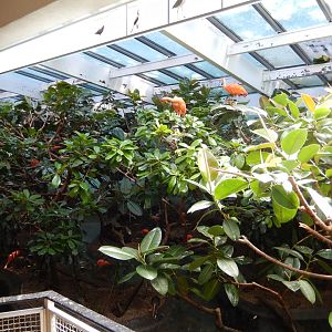 8/12/2022 - Bird Exhibit