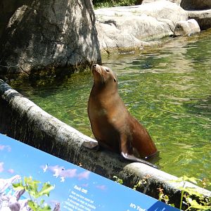 8/12/2022 - Lunchtime?