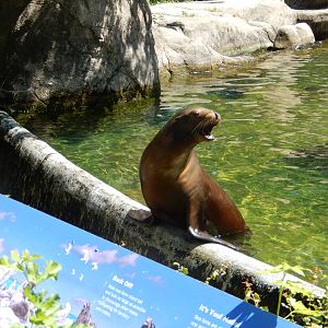 8/12/2022 - Hey, Where's My Fish?