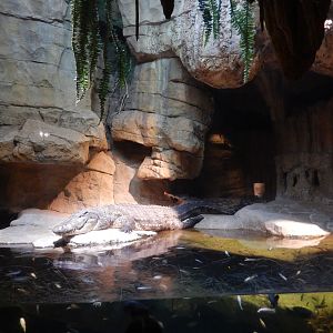 8/12/2022 - Tsingy Caves Exhibit