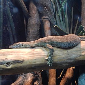 8/12/2022 - Mertens' Water Monitor