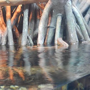 8/12/2022 - Monitoring Swimming Techniques