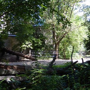 8/12/2022 - White Rhino Habitat - Long View
