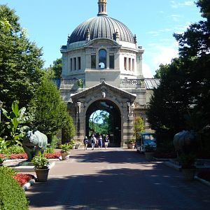 8/12/2022 - Zoo Center - Stunning!