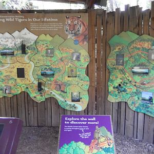 8/12/2022 - Tiger Mountain Conservation Wall