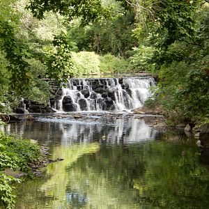 8/12/2022 - Scenic Waterfall