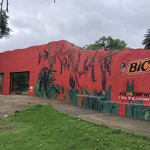 New Mural at the Chimpanzee Enclosure