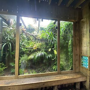 Tropical Realm - Mixed exhibit 221022