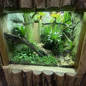 Tropical Realm 221022