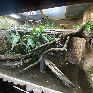 Tropical Realm 221022