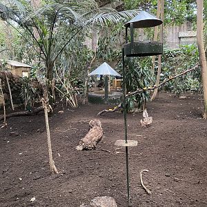 Tropical Realm 221022