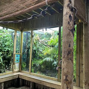 Tropical Realm 221022