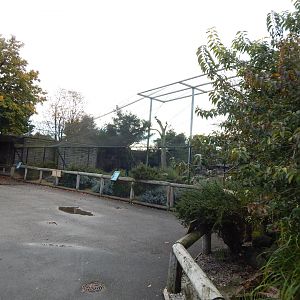 Large European aviary 221022