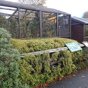 Lac Alaotra bamboo lemur enclosure 221022