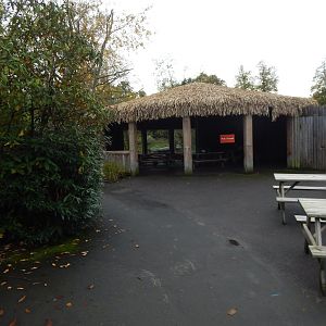 Former Cheetah enclosure viewpoint 221022