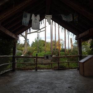 Islands - Sumatran orangutan enclosure 221022