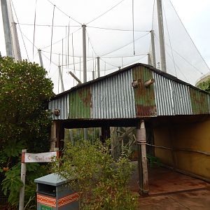 Islands - Monsoon Forest 221022